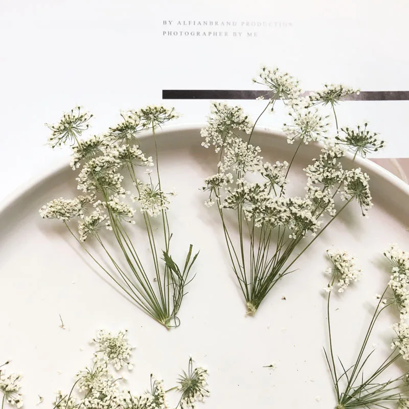 5-7cm/12szt, śnieg małe kwiaty – Craft Embellishment recenzja i cena