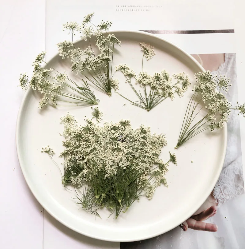 5-7cm/12szt, śnieg małe kwiaty – Craft Embellishment recenzja i cena