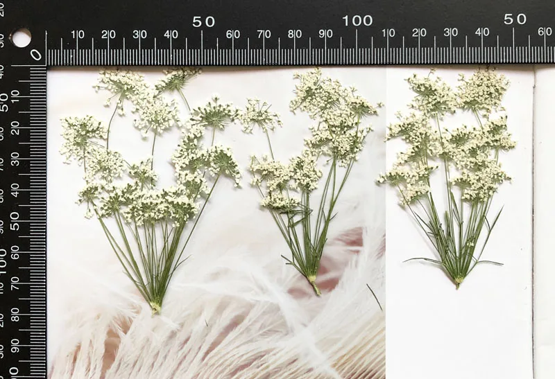 5-7cm/12szt, śnieg małe kwiaty – Craft Embellishment recenzja i cena