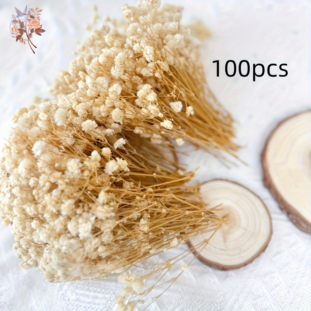 100 szt. Mini Suszone Kwiaty G – Craft Embellishment recenzja i cena