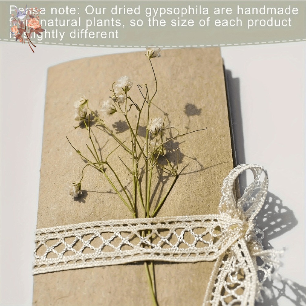 100 szt. Mini Suszone Kwiaty G – Craft Embellishment recenzja i cena